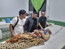 Bupati Cianjur Sebut Pencuri Labu Siam yang Tewas Dianiaya Penerima Bansos